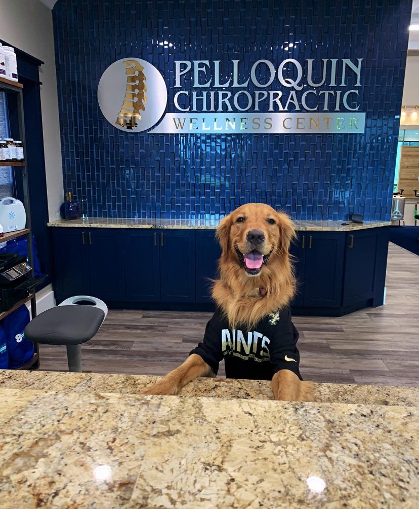 Pelloquin Chiropractic