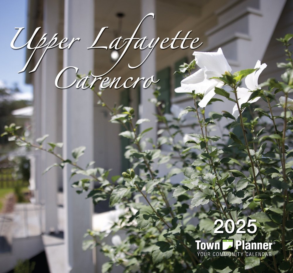 Town Planner